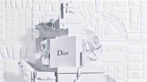 cristian dior|official christian dior website.